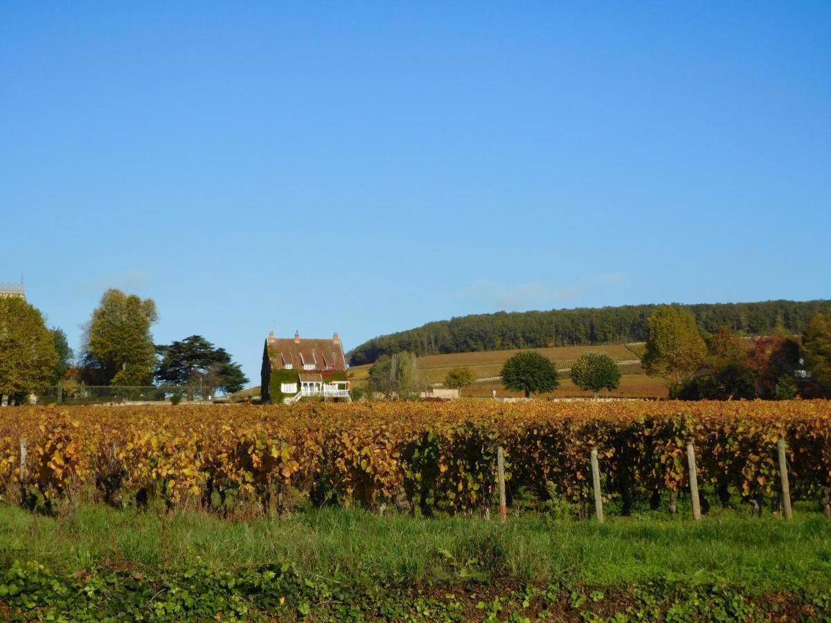 La Passerelle Des Corton B&B Aloxe-Corton Exterior photo